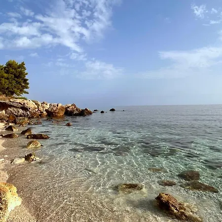 Lejlighed Sao Punta Pispisa